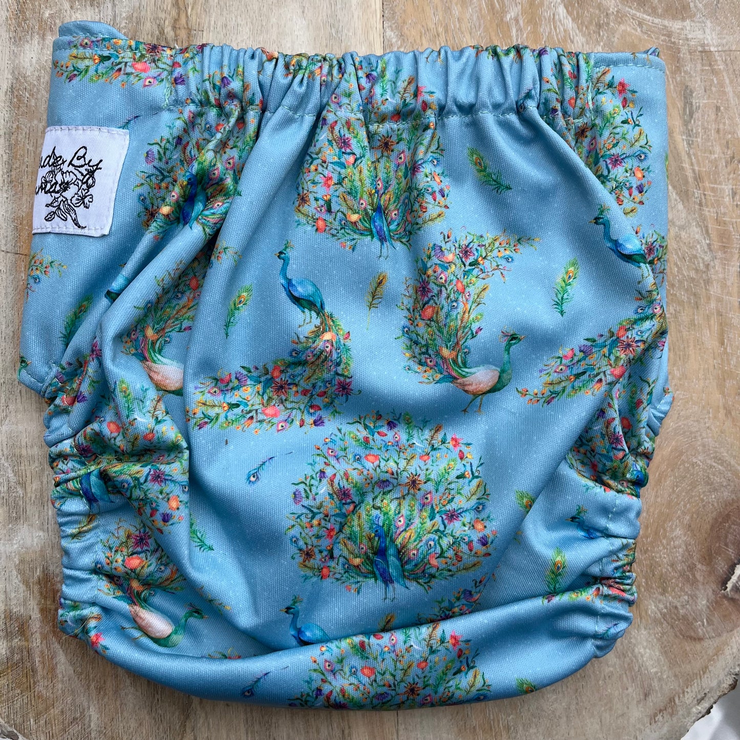 Fancy Feathers OS Pocket Diaper (Life In Color Collection)