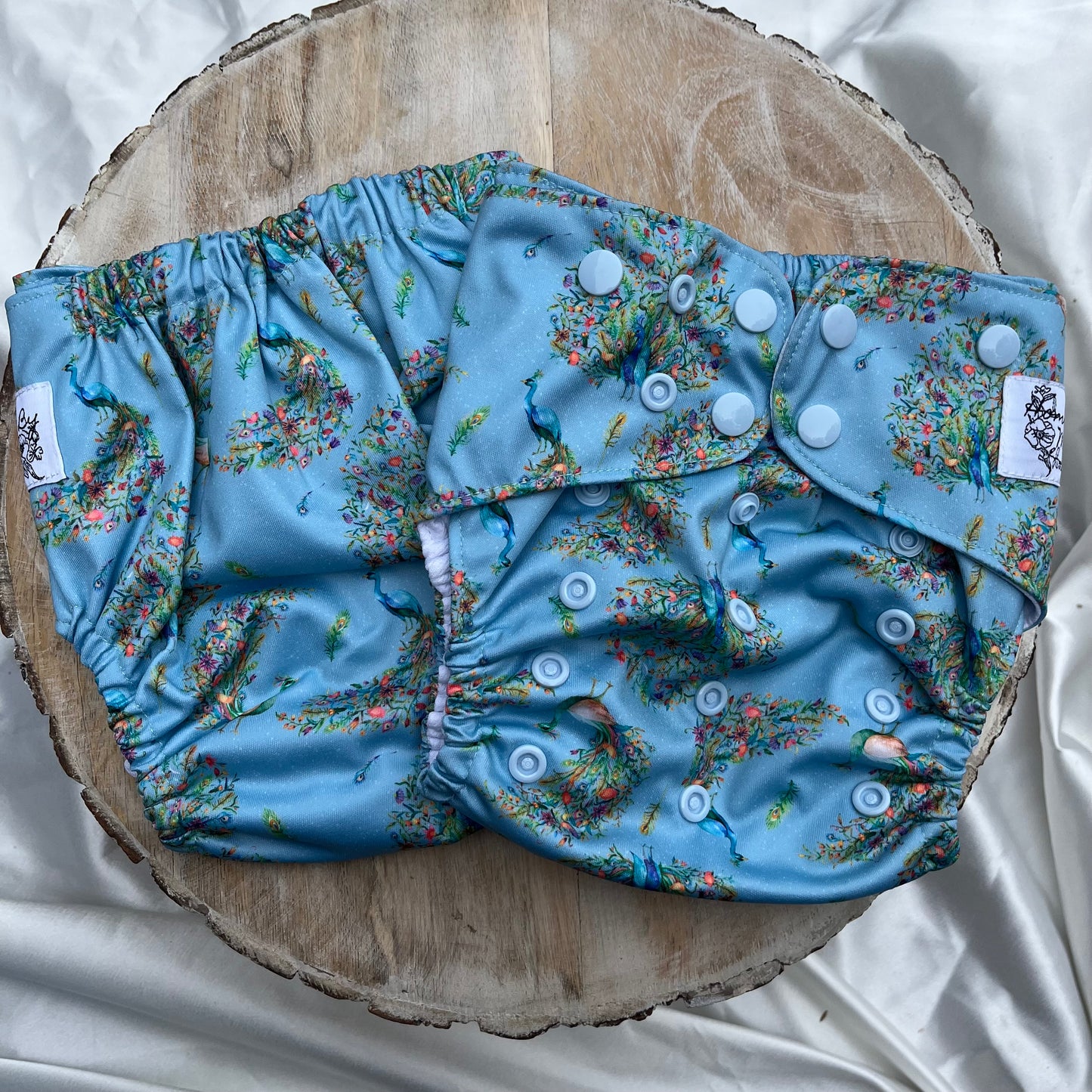 Fancy Feathers OS Pocket Diaper (Life In Color Collection)